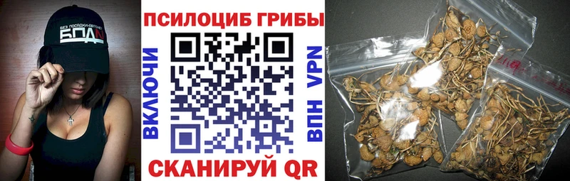 Галлюциногенные грибы мухоморы  Урай 